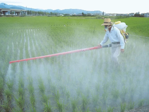 pesticide