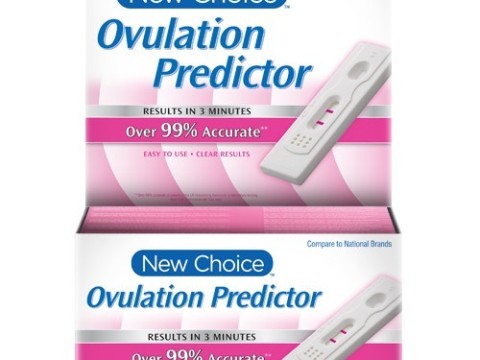 predictor