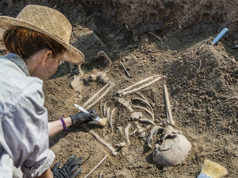 archaeologist