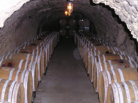 cellar