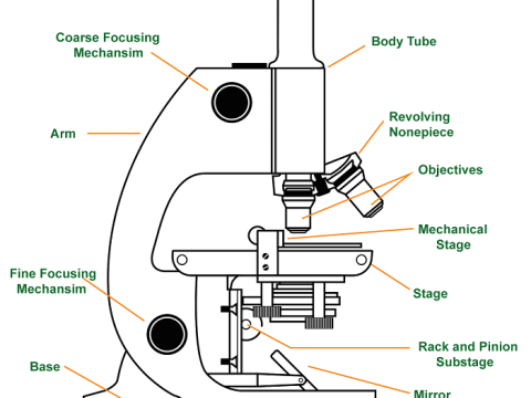 microscope