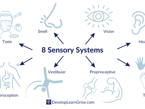 sensory