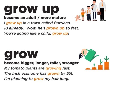 grown-up