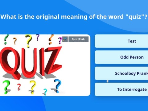 quiz