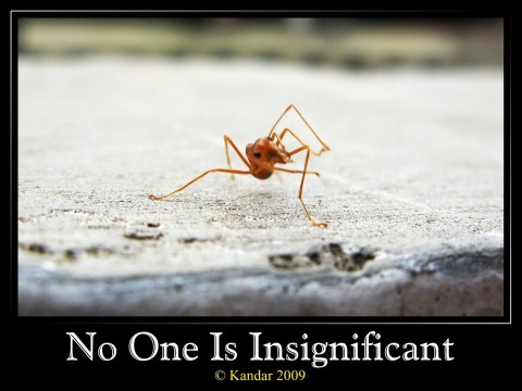 insignificant