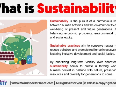 sustainability