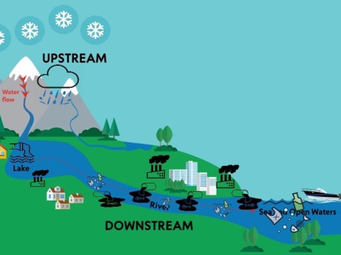 downstream