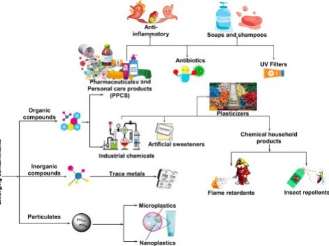 contaminant